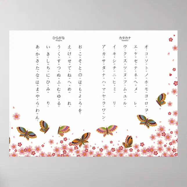 Butterflies & Sakura Hiragana Katakana Japanese Po Poster Zazzle