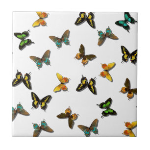 butterflies tile