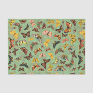 Butterflies Tissue Paper