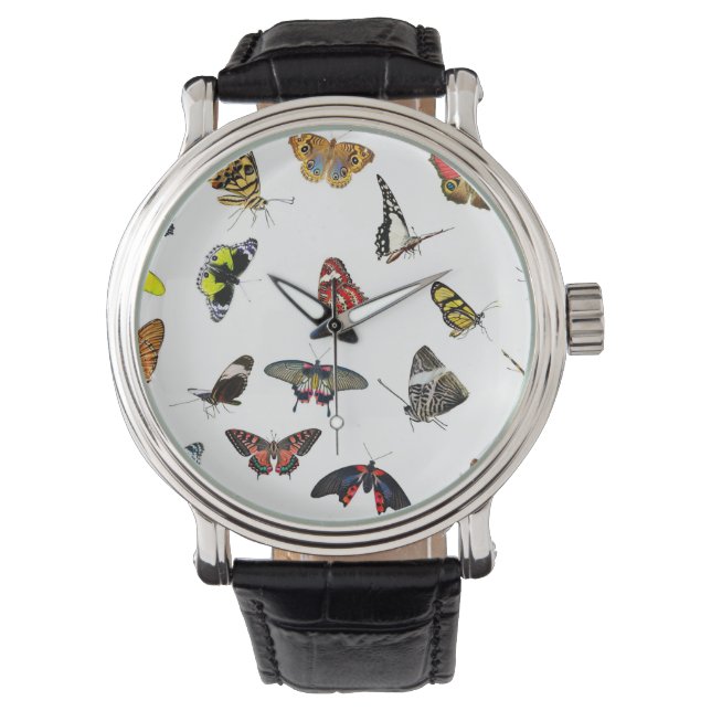 BUTTERFLIES   WATCH (Front)