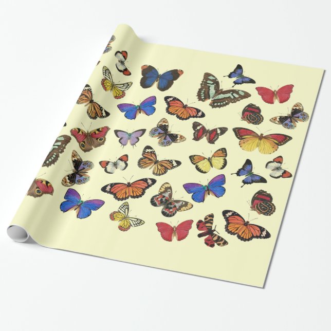 Butterflies Wrapping Paper (Unrolled)