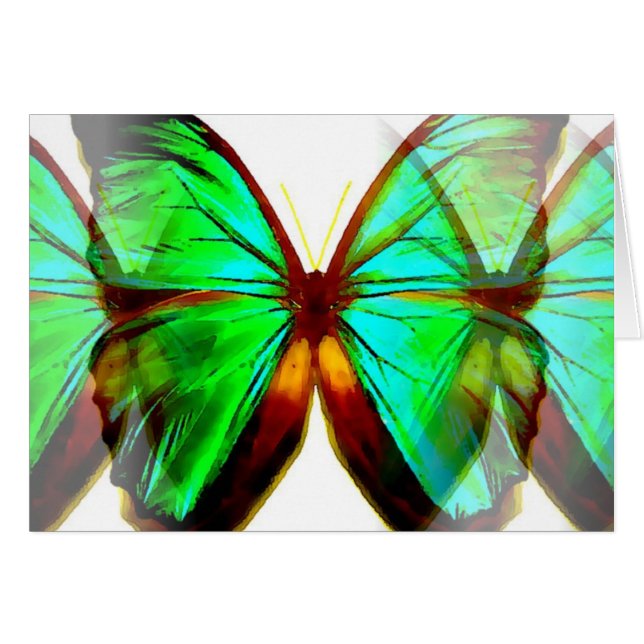 Butterfly (Front Horizontal)