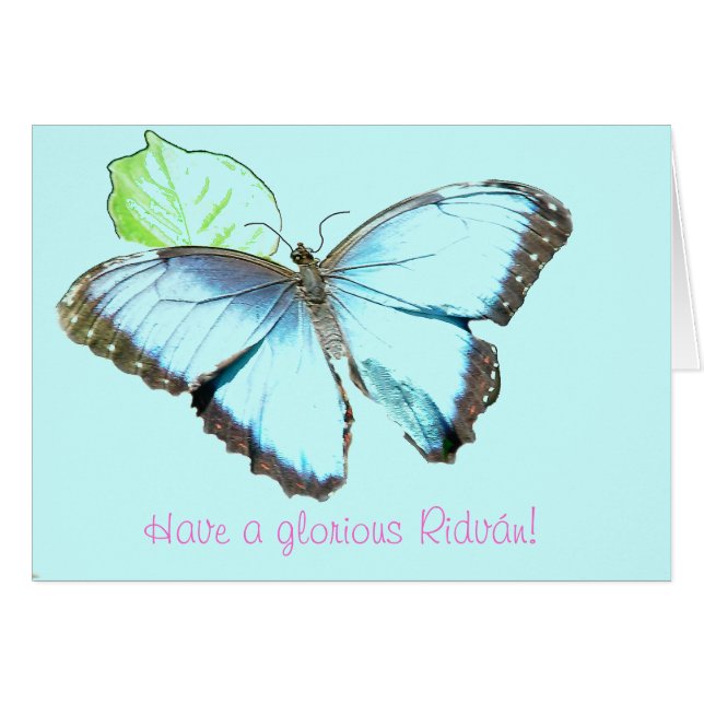 Butterfly9 (Front Horizontal)