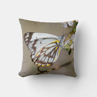 Butterfly 1 Cushion