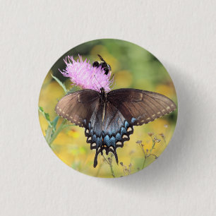 Butterfly 1 inch round button