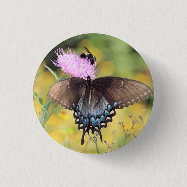 Butterfly   1 inch round button (Front)