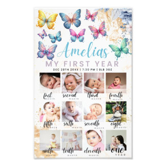 Butterfly 1st Birthday Photo Poster 