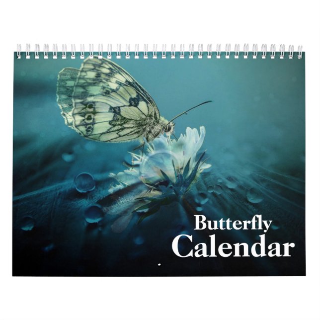 Butterfly 2026 calendar (Cover)