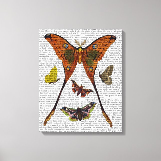 Butterfly 2 canvas print (Front)