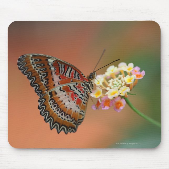 butterfly 2 mouse pad (Front)