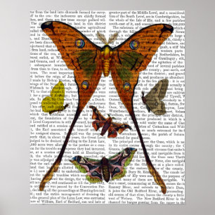 Butterfly 2 poster