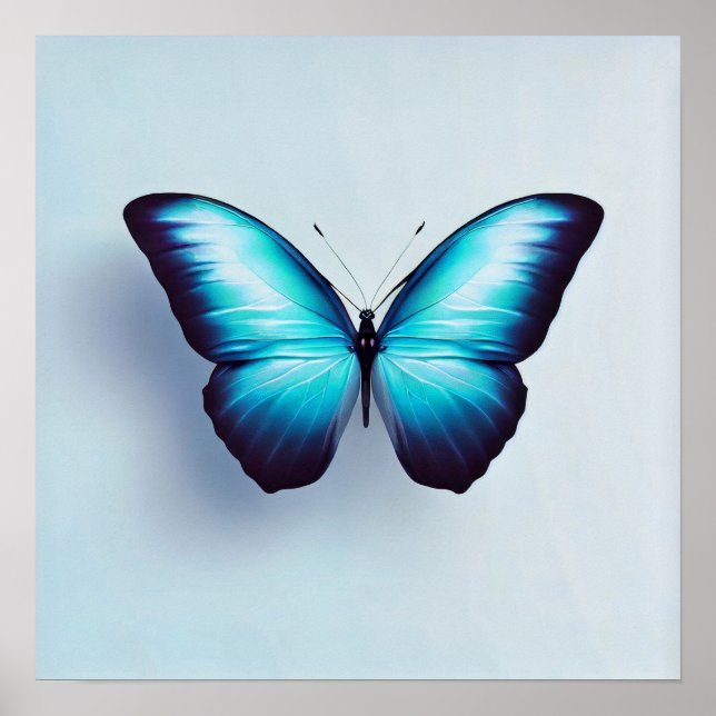 Butterfly Against White Background Poster (Front)