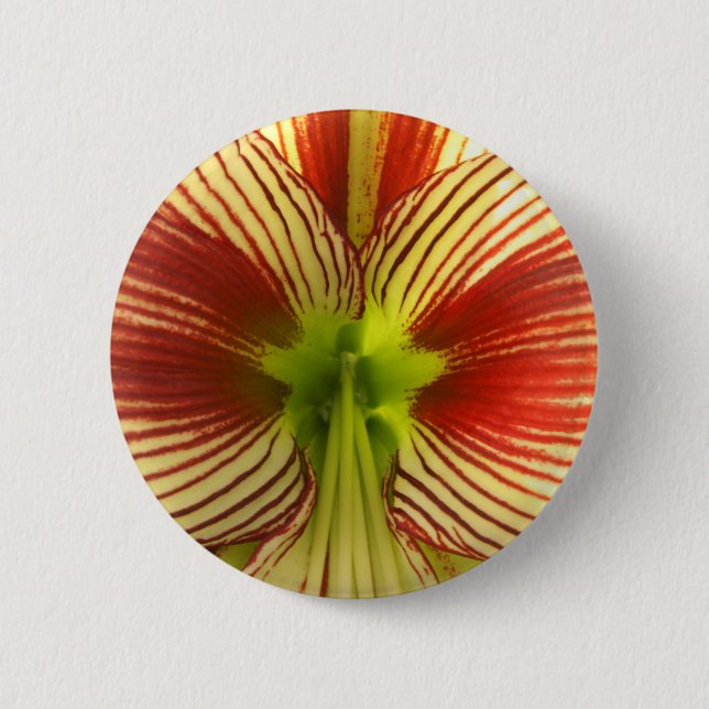 Butterfly Amaryllis 2 Inch Round Button (Front)