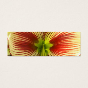 Butterfly Amaryllis Bookmark