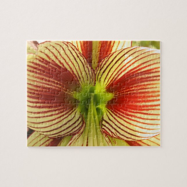 Butterfly Amaryllis Jigsaw Puzzle (Horizontal)