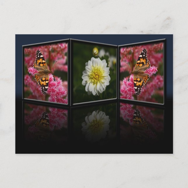 Butterfly and Dahlia Postcard (Front)