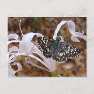 Butterfly and Dancing Flower Postcard
