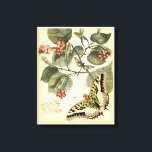 Butterfly and Dragonfly with Red Flowers Canvas Print<br><div class="desc">Vision Studio created this captivating scene of a butterfly and dragonfly fluttering near a group of red flowers. If you love nature you should get this print for yourself. It would also make an amazing gift for someone special in your life!</div>