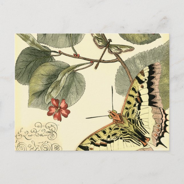 Butterfly and Dragonfly with Red Flowers Postcard (Front)