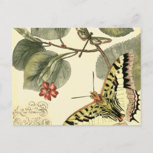 Butterfly and Dragonfly with Red Flowers Postcard