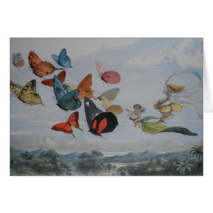 Butterfly and Fairy Queen Butterflies Fairies