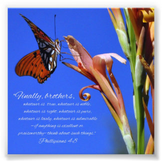 Butterfly and Flower Phillipians 4:8 Scripture Photo Print