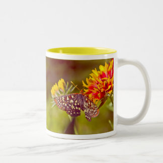 Butterfly and Gaillardia Two-Tone Coffee Mug