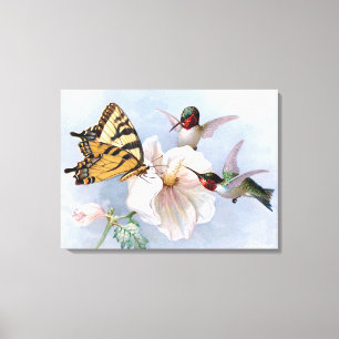 Butterfly and Hummingbirds Canvas Print