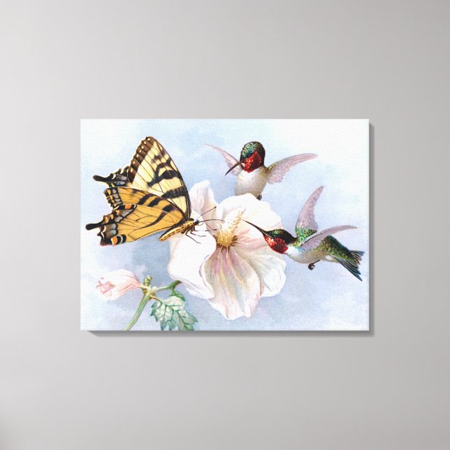 Butterfly and Hummingbirds Canvas Print (Front)
