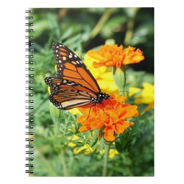 Butterfly and Marigold Flower Garden Notebook (Front)