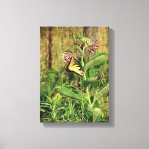 Butterfly and Milkweed Canvas Print