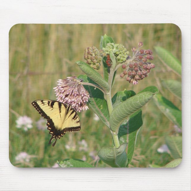 Butterfly and Milkweed Mouse Pad (Front)