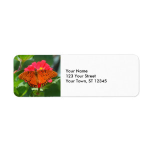 Butterfly and Pink Flower