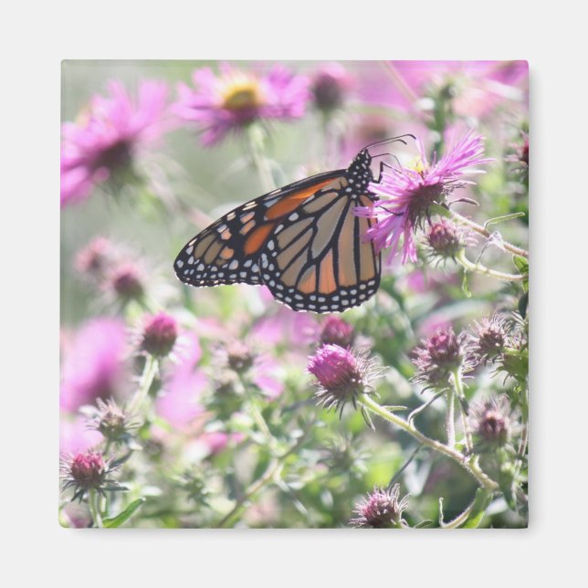 Butterfly and Purple Meadow Flowers Magnet (Front)