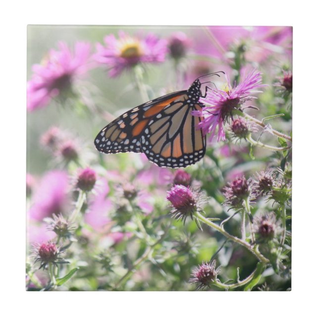 Butterfly and Purple Meadow Flowers Tile (Front)