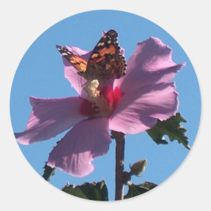 Butterfly and Rose of Sharon Classic Round Sticker