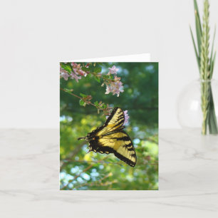 Butterfly and Sky Card