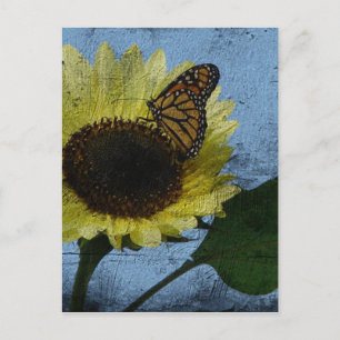 Butterfly and Sunflower Postcard