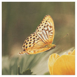 Butterfly Art 32 Options Custom Fabric