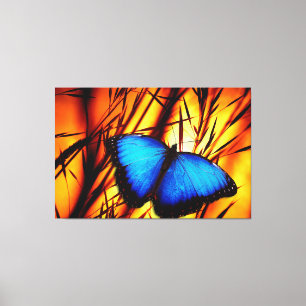 Butterfly Art 39 Options Canvas Print