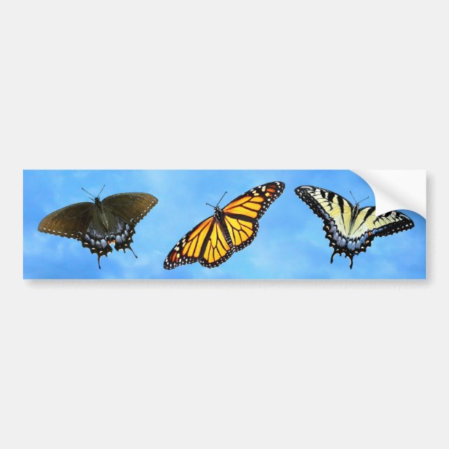 Butterfly Assortment Bumper Sticker (Front)