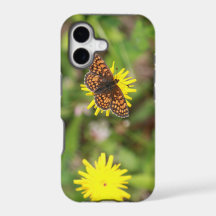 Butterfly - Beautiful!