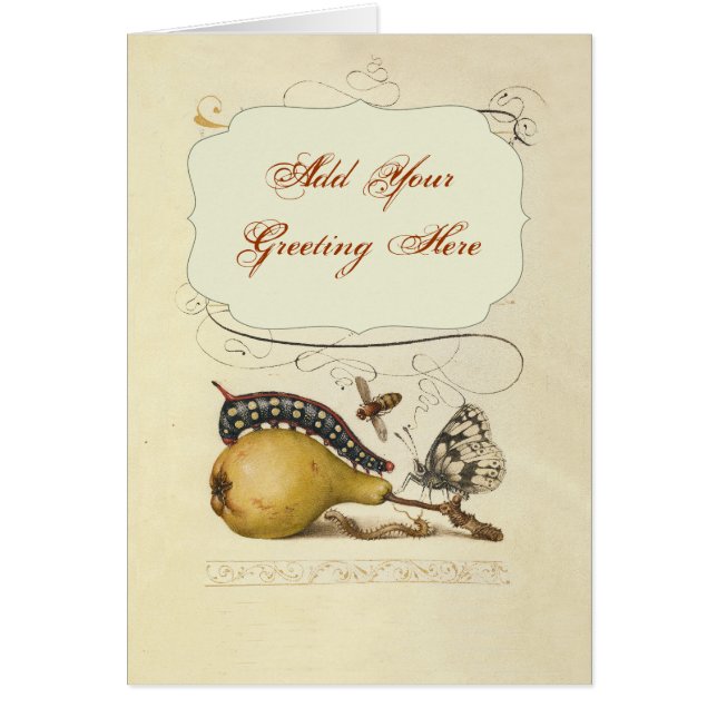 Butterfly Bee Fruit Insect Illustration (Front)