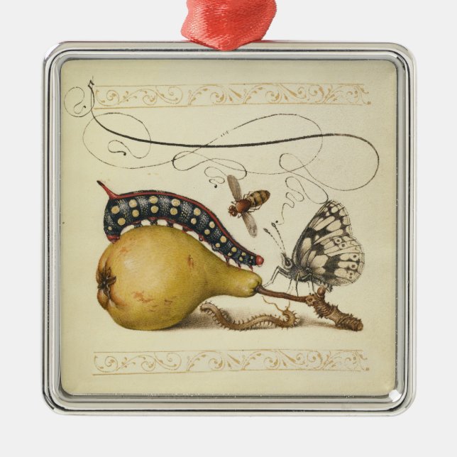 Butterfly Bee Fruit Insect Illustration Metal Ornament (Front)