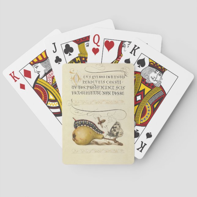 Butterfly Bee Fruit Insect Illustration Playing Cards (Back)