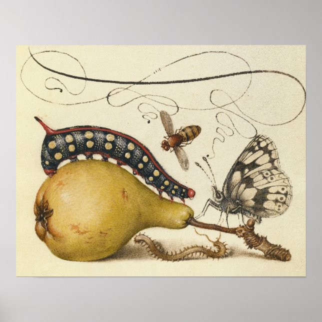 Butterfly Bee Fruit Insect Illustration Poster (Front)