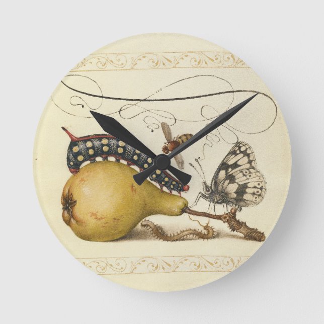 Butterfly Bee Fruit Insect Illustration Round Clock (Front)