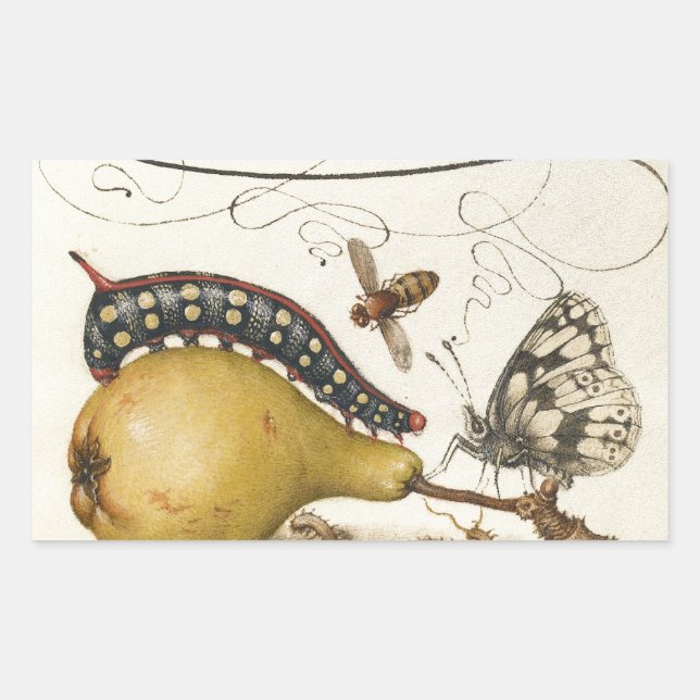 Butterfly Bee Fruit Insect Illustration Sticker (Front)