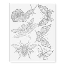 Butterfly Beetle Dragonfly Snail Colouring
