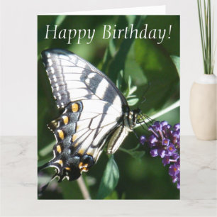 Butterfly Birthday Big Greeting Card